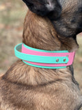 2” Bubblegum & seafoam handle collar