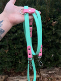 Seafoam & bubblegum hands free leash