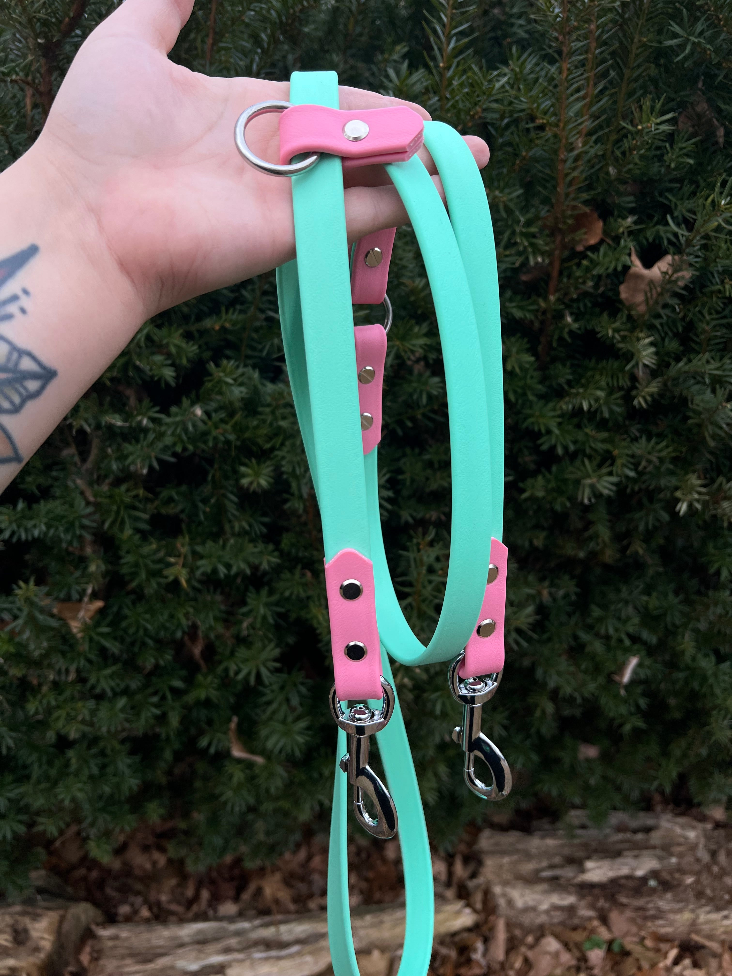 Seafoam & bubblegum hands free leash