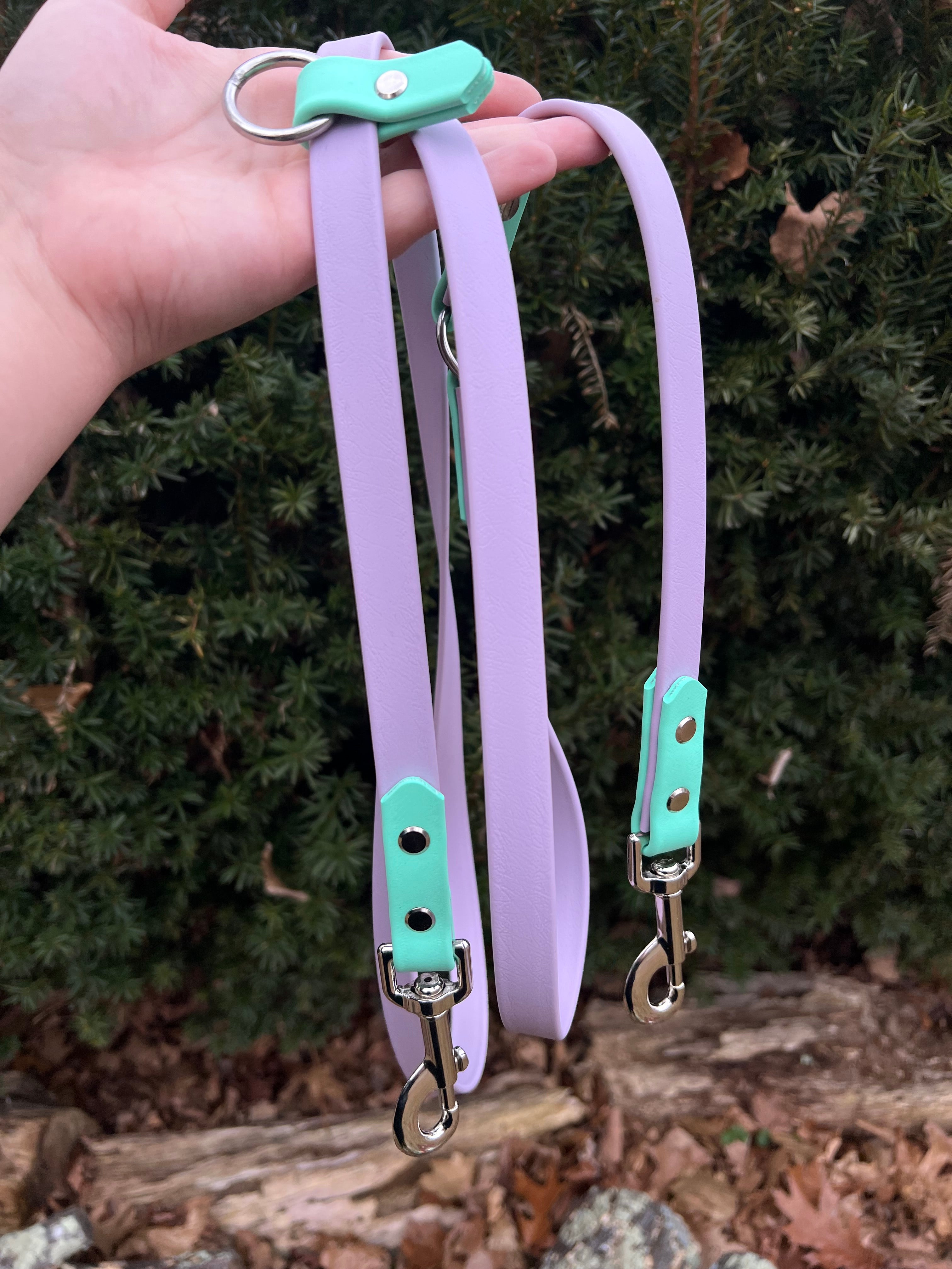 Lavender & seafoam hands free leash