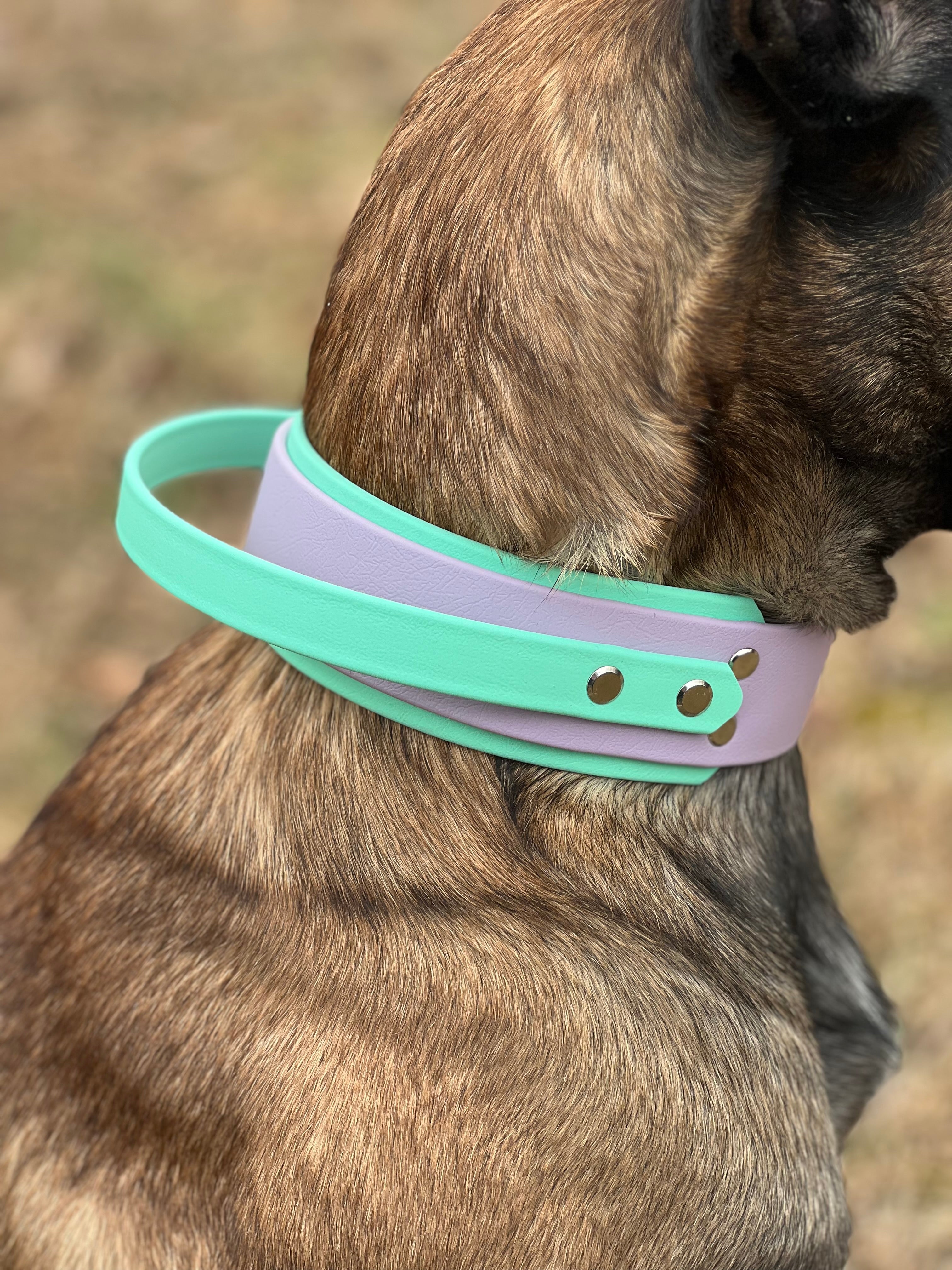 2” Lavender & seafoam handle collar