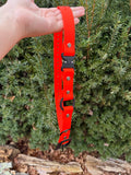 1" Neon orange e-collar strap